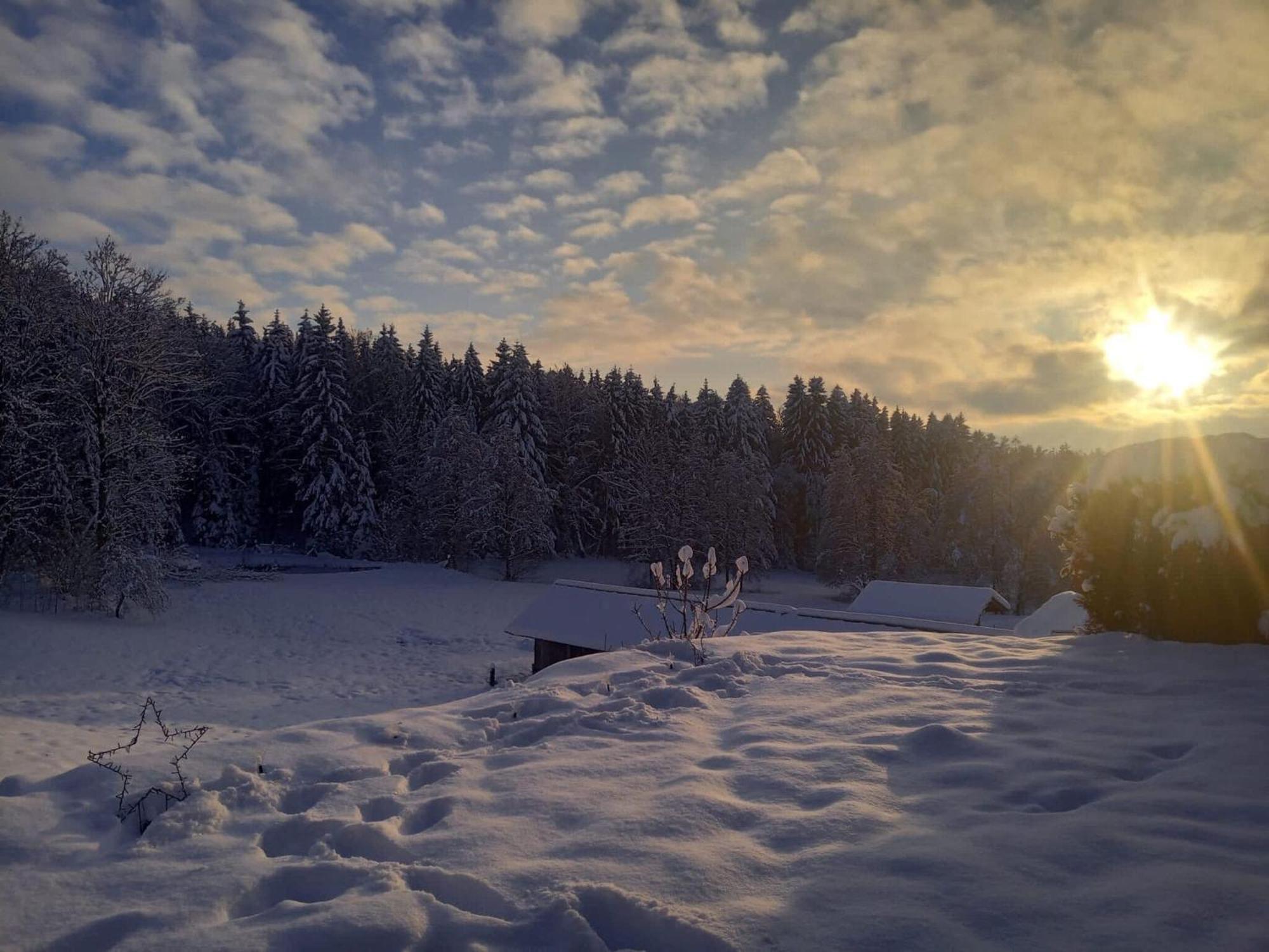 Im Bayerischen Wald Mit Terrasse *