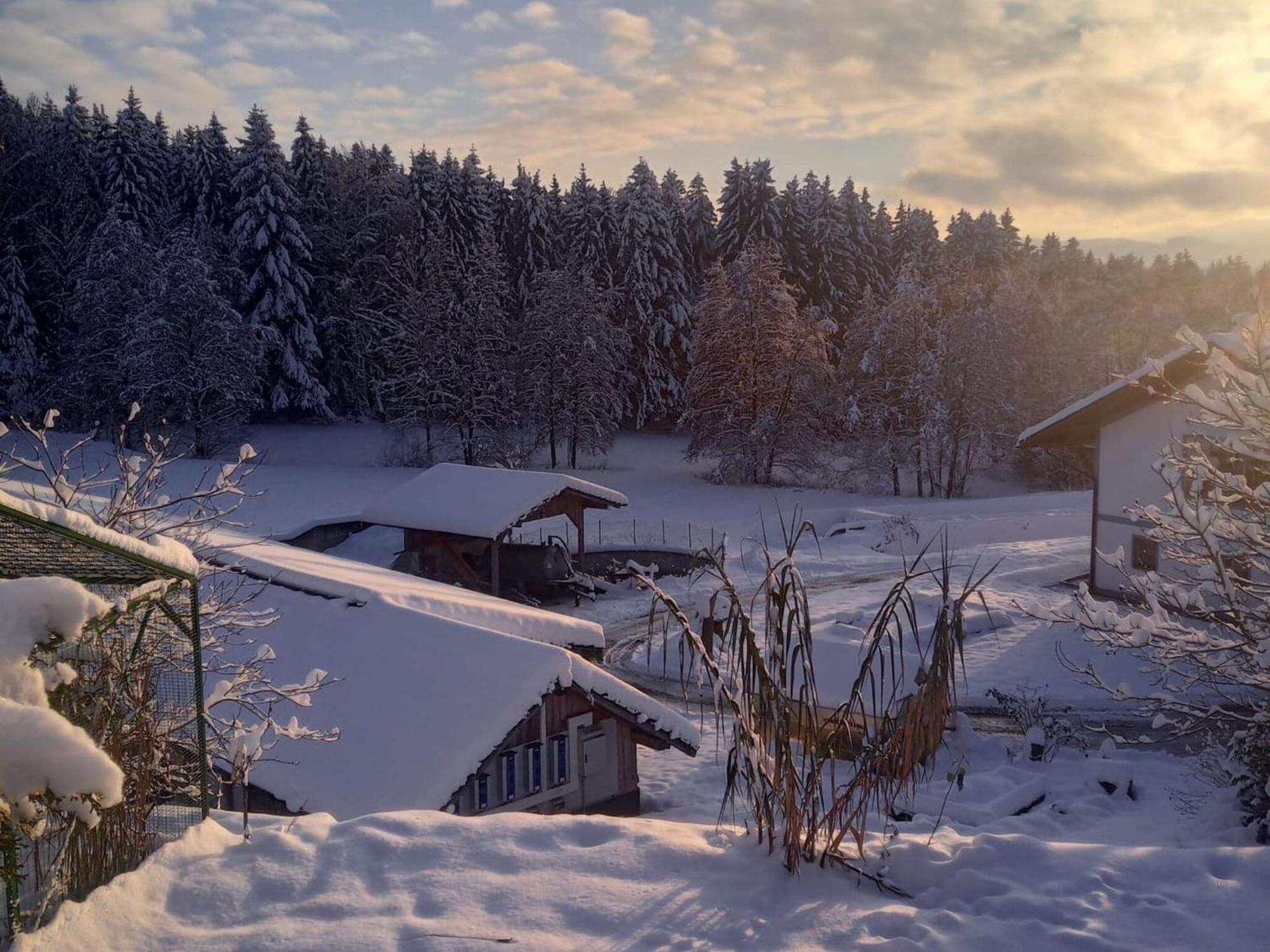 Im Bayerischen Wald Mit Terrasse Apartment